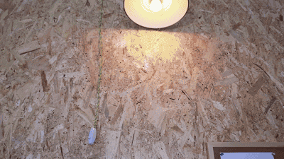 14701906981000.gif