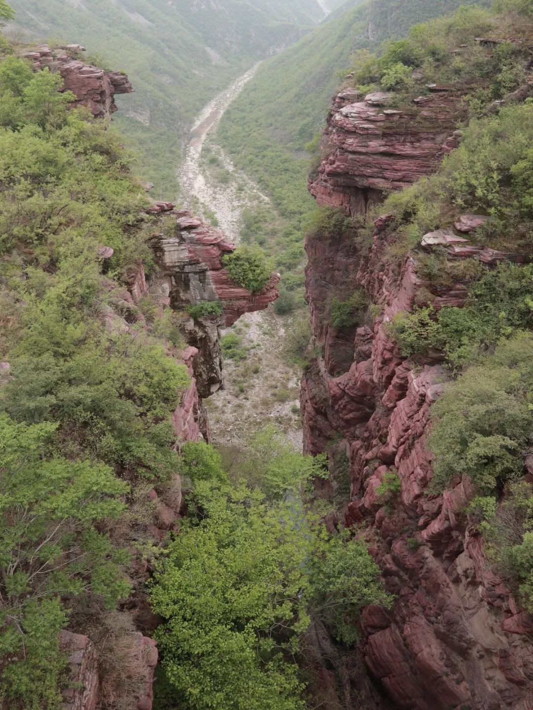1556592043284354.jpg